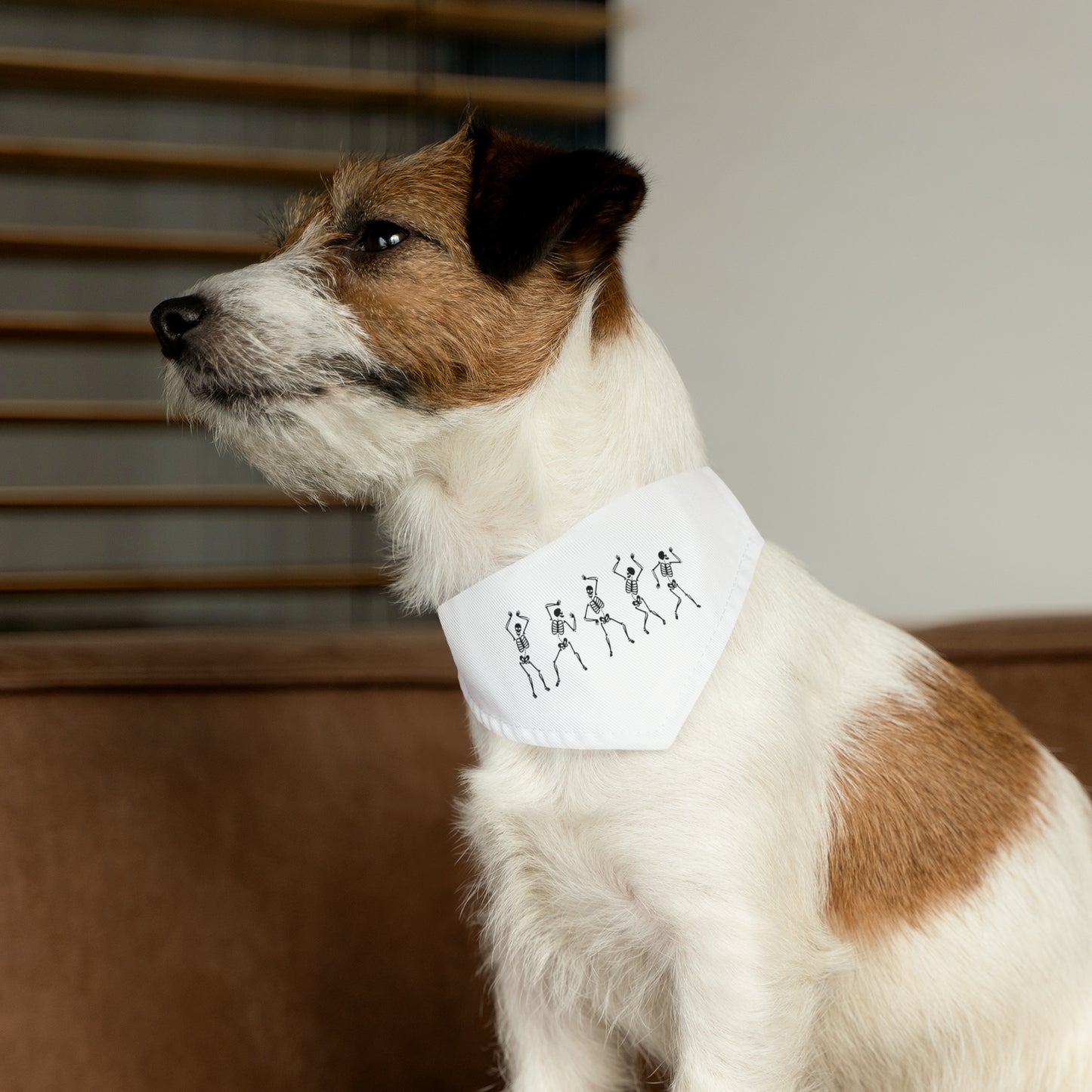 Bone Groove Pet Bandana Collar