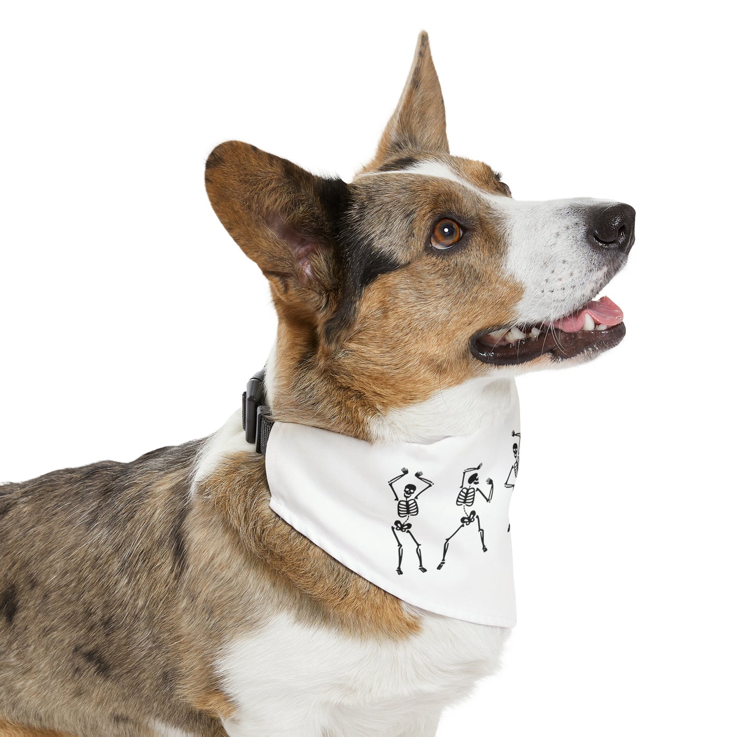 Bone Groove Pet Bandana Collar