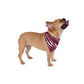 Buffalo Bills Pet Bandana - Zubaz Print Style