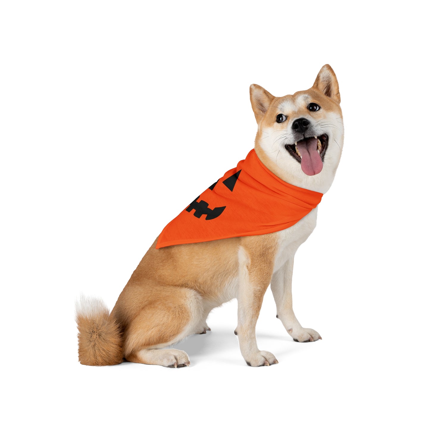 "Pumpkin Pooch" Pet Bandana